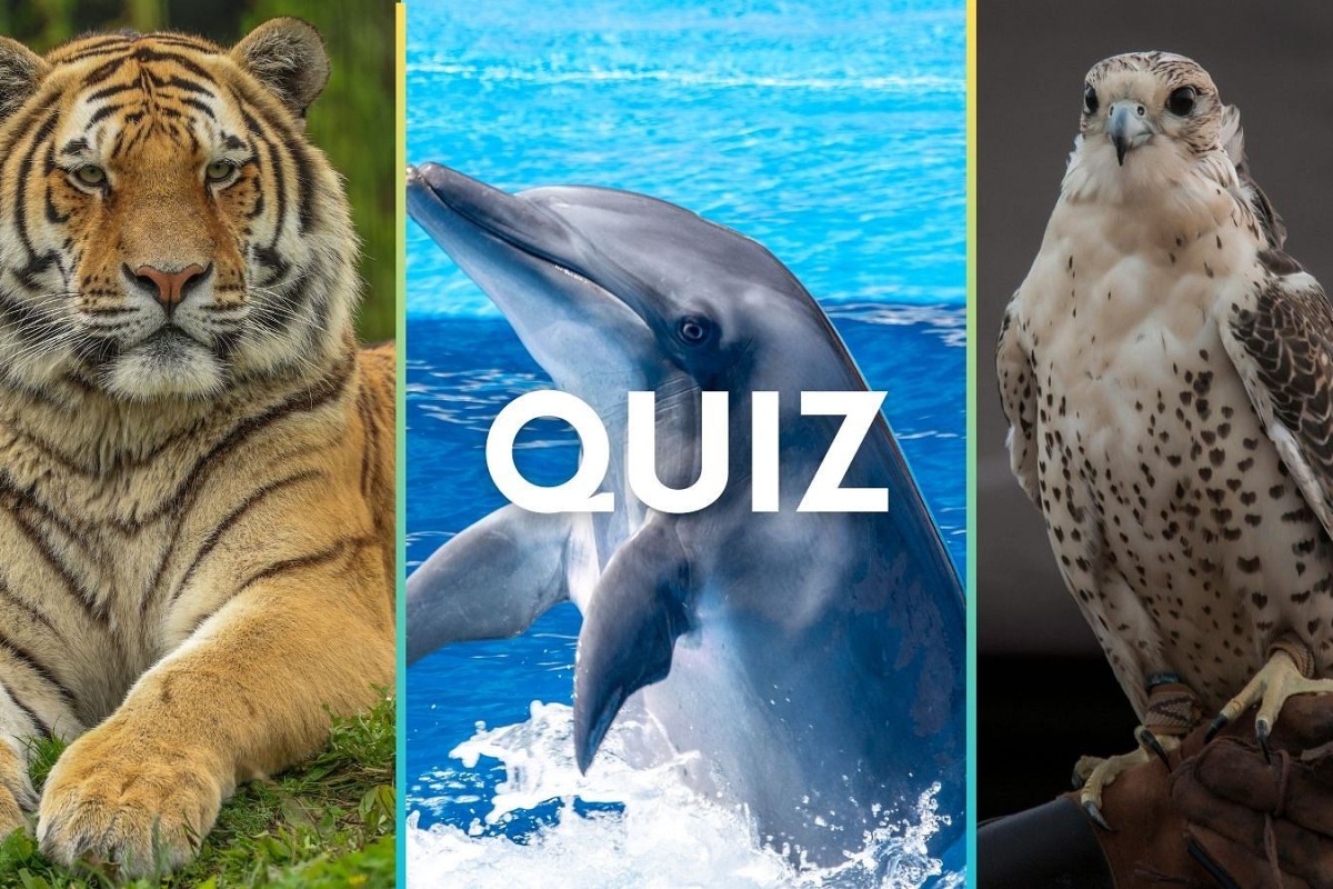 Zwierzęta wokół nas: Jak rozwijać dziecięcą ciekawość świata przyrody