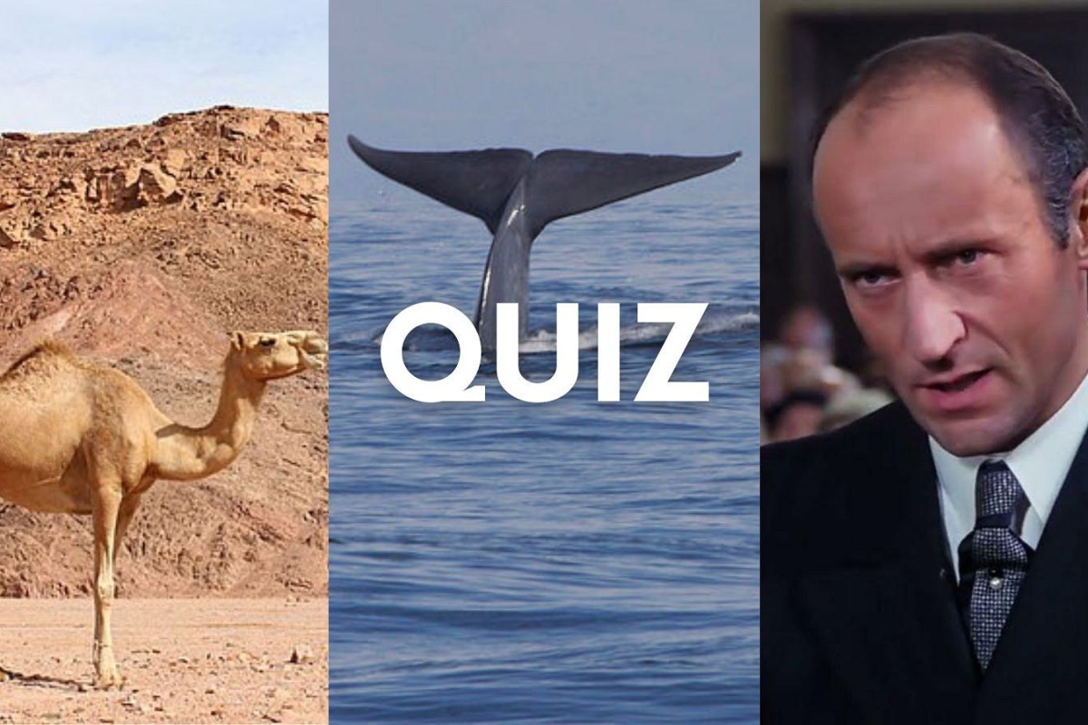 Jak rozwijać ciekawość świata u przedszkolaka? Proste quizy dla całej rodziny